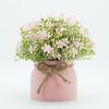Simulated Orchid Bean Small Bonsai Artificial Flower Decorations Creative Living Room Tabletop Green Plants Home Decorations