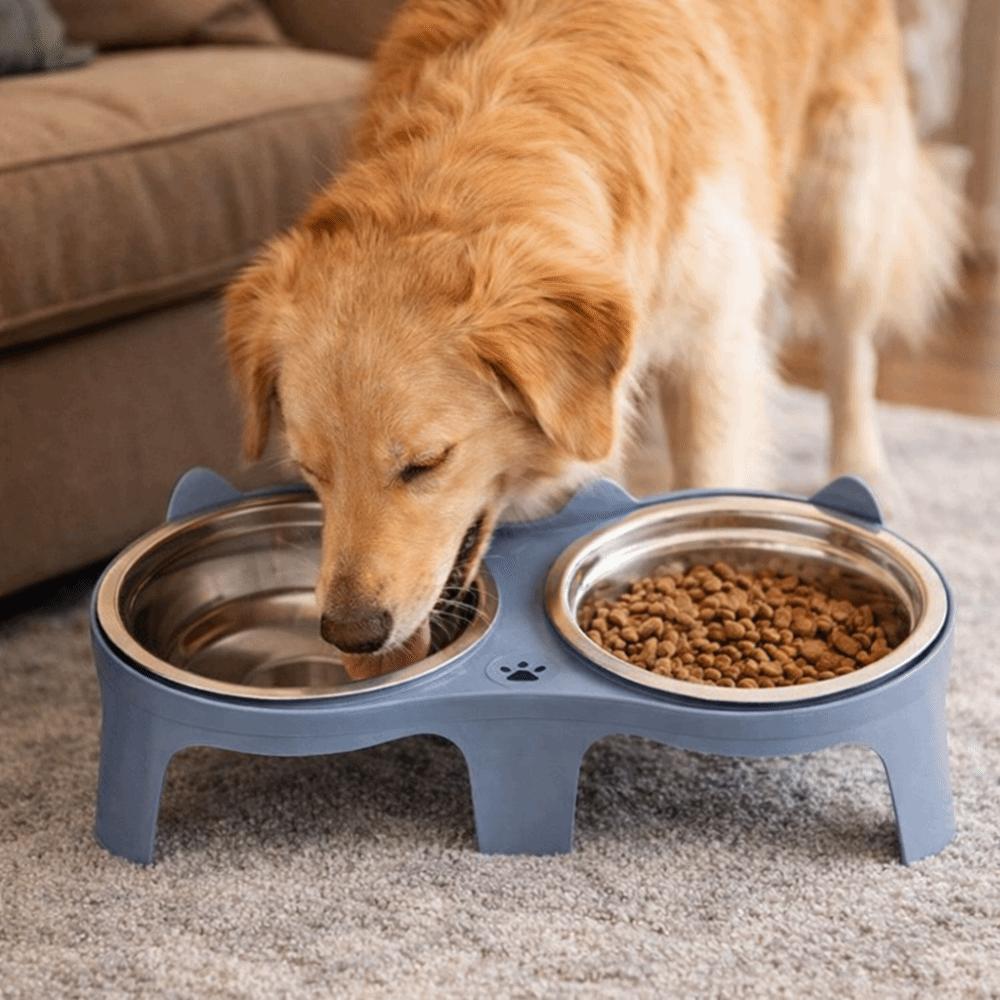 Stainless Steel Pet Double Feeder Bowl Large Capacity No Spill Slow Feeder Bowl Anti-Tip Non-Skid Base Cat Water Bowl Multi-Pet