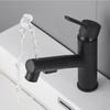 TLXT Stainless Steel Wall-Mounted Pull-Out Kitchen Faucet