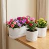 Double Layer Self Watering Flower Pot Plastic Flower Planter Hydroponics Plant Pot  Garden Supplies
