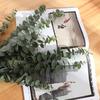 5Pcs/Set Green Artificial Eucalyptus Leaf Plant Vine Garden Balcony Home Decor