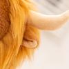 Kawaii Yak Plush Cute Toy Doll Fuzzy Highland Cattle Soft Stuffed Pillow For Animal Lovers Present