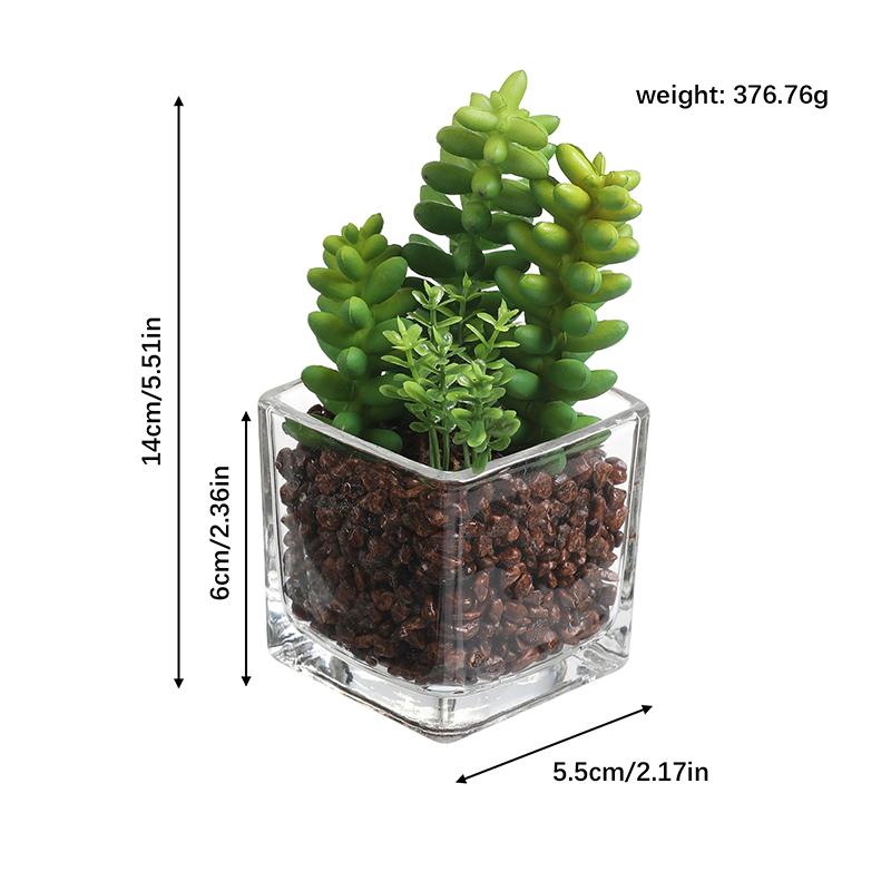 1Pcs Succulent Plant Artificial Transparent Flowerpot Fake Cactus Plant Indoor For Window Office Racks Bathroom Home Decoration