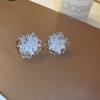 Silver Needle Zircon Star Flower Tassel Stud Earrings - Elegant and Fashionable Women's Accessory
