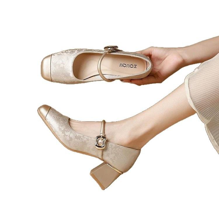 Guofeng New Chinese-style Versatile Single Shoes Women's 2025 Autumn New Soft-soled Thick Heel Square Head Word with Mary Jane Single Shoes