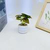 Simulation Leaves 8 Epipremnum Aureum Potted Artificial Plant Ornament Decor
