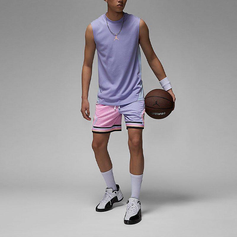 Jordan Sports Shorts Men's Ice Beauty Lilac FD6551-538
