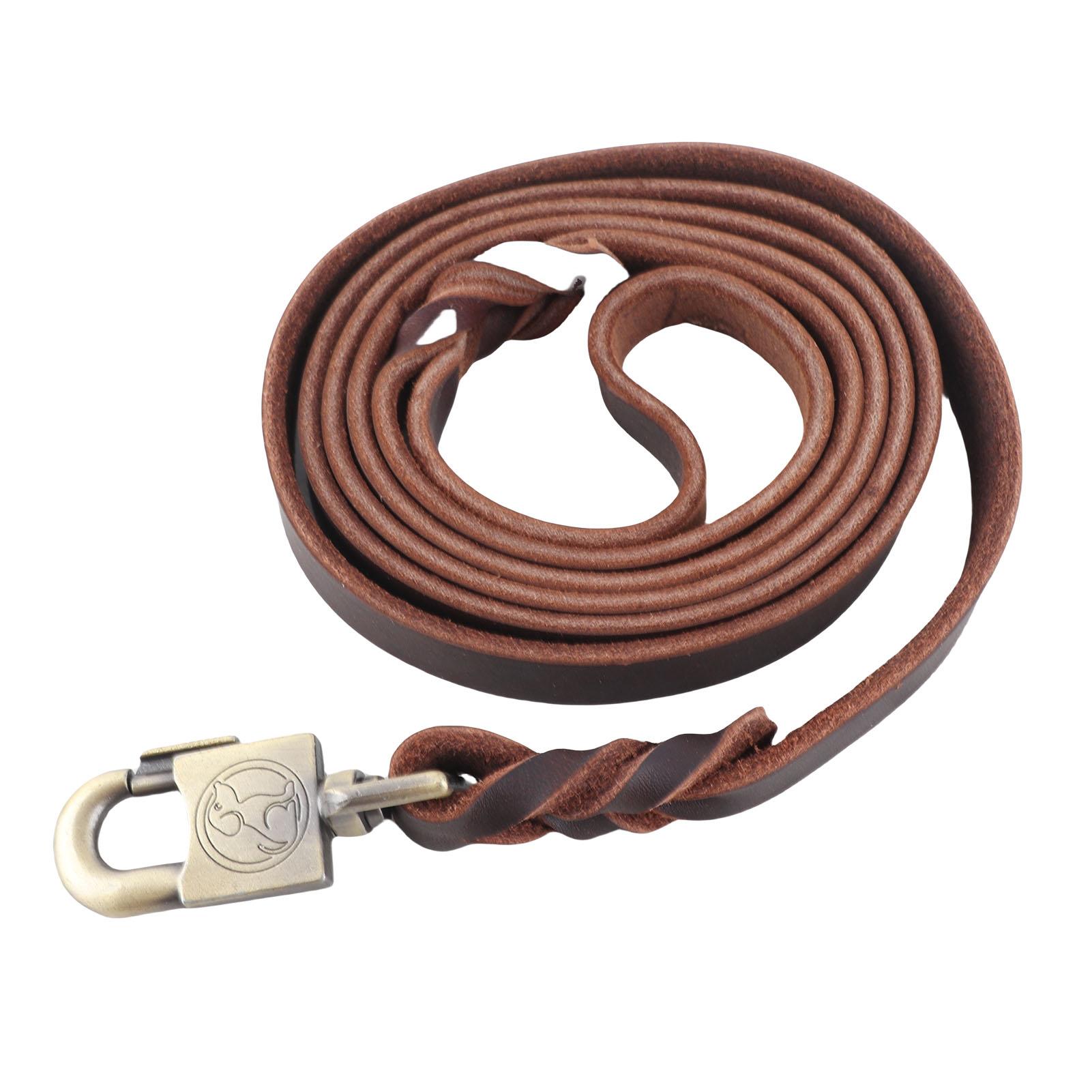 

Dog Training Strap, 6.1inch Pet Leash Soft Comfortable Padded Handle for Puppy with Metal Lock Labor Saving Sturdy Leather Dog Harnes Rope for Medium