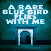 A Rare Blue Bird Flies with Me by Youssef Fadel Paperback Book 9789774167546
