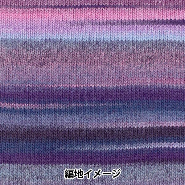 SKIYARN Yarn Color Autumn/Winter "Paiaccio 703"