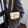Women's Swallow Oblique Span Bag Versatile Lightweight Chain Small Square Bag Trendy New Shoulder Bag Small Fragrant Women's Bag