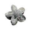 2024 High-End Elegant Frangipani Gradient Hair Claw: Colorful Shark Clip for Women