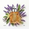 Calvin Klein Eternal Men's Perfume Aromatic Fragrance Parfum // 50ml