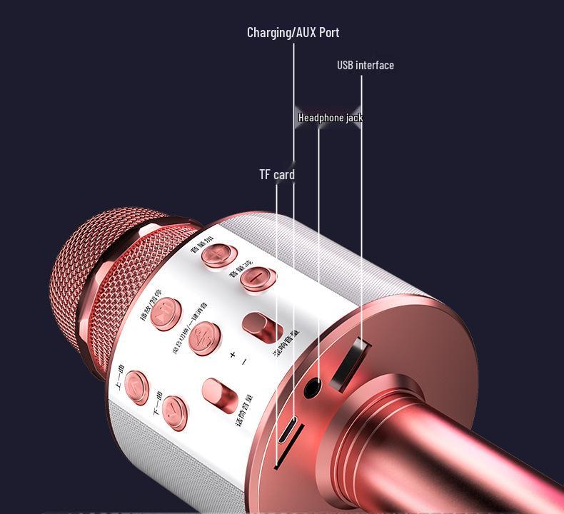 Wireless Bluetooth Home KTV Singing Microphone and Speaker - Model 858