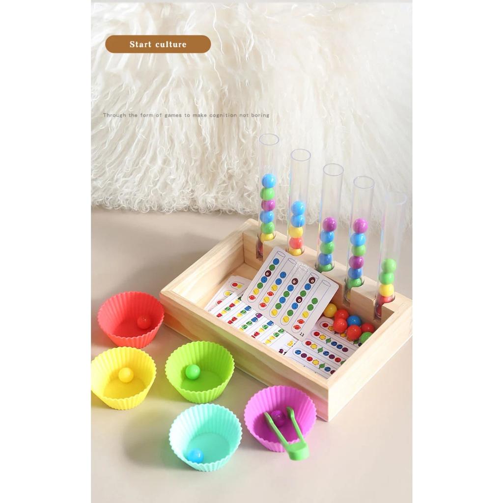 Montessori Educación Temprana Clip Tubo de Ensayo Cuentas de Color Niños Color Cognitivo Coordinación Mano-ojo Juguetes Educativos para el Cerebro