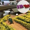 Flowers Diorama Materials Flower Series Pink Scenery Collection Glass Model Building Model Decoration Landscape Miniature Garden Railway Model Diorama