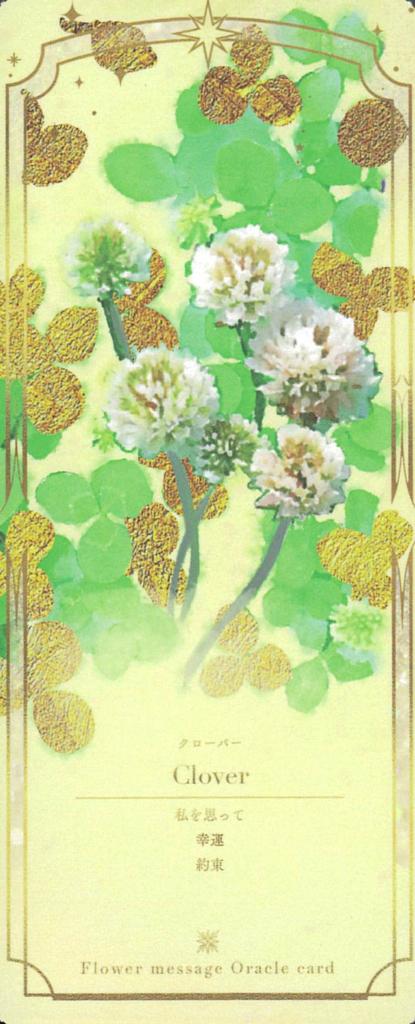 Flower Message Oracle Cards Shin 45 Cards with Instructions In and Chinese (4 Languages) Japanese, English, Korean, [Authentic]