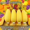 Giant Corn Shape Flour Filled Squeeze Toy Simulation Vegetable TPR Stress Relief Fidget Gadget  Desktop Decor Gift