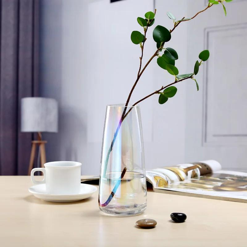 

Nordic ins Aurora Symphony Glass Vase Transparent Flower Arrangement Water Care Simple Desktop Small Fresh Gold Vase