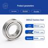 Precision Stainless Steel Ball Bearings: Deep Groove 6007, 6008, Miniature 6003