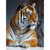 5D DIY Diamond Painting Animal Rhinestone Tiger Diamond Embroidery Wall Art Picture Mosaic Home Decoration Handmade Gift Kit