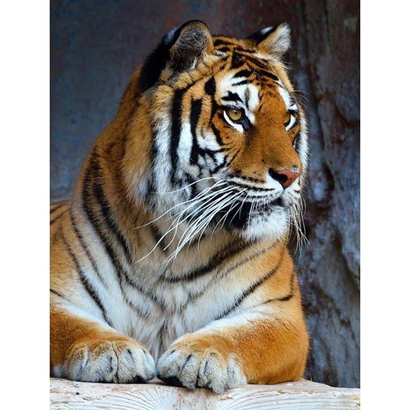 5D DIY Diamond Painting Animal Rhinestone Tiger Diamond Embroidery Wall Art Picture Mosaic Home Decoration Handmade Gift Kit