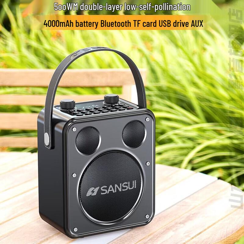 SANSUI D71 Outdoor Portable KTV Bluetooth Speaker (CN version)