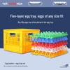 Shockproof Plastic Egg Transport Tray for Duck Eggs and Soy Milk
