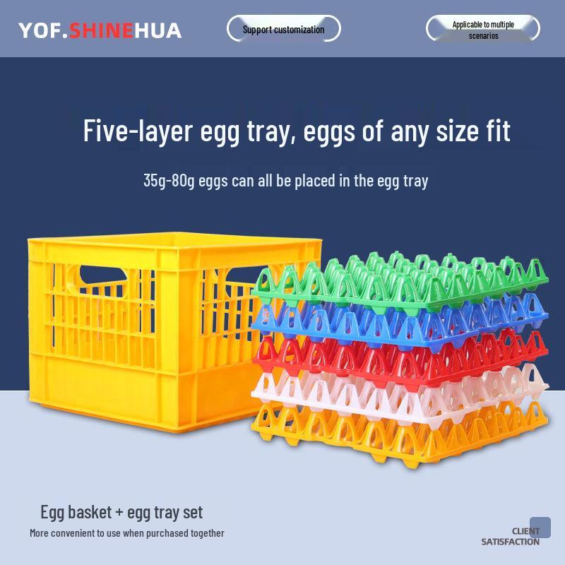 Shockproof Plastic Egg Transport Tray for Duck Eggs and Soy Milk