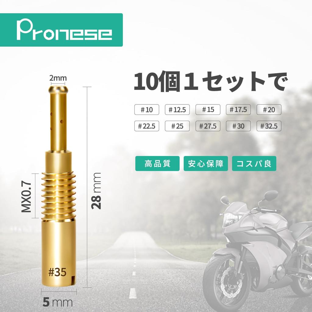 Pronese Pilotdüse 10er Satz (28 x 5) Vergasereinstellung für TMR vm