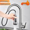 Tai Ju Fu Gunmetal Grey Pull-Out Kitchen Faucet