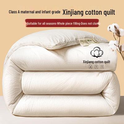 Qixiai All-Season Washed Xinjiang Cotton Quilt