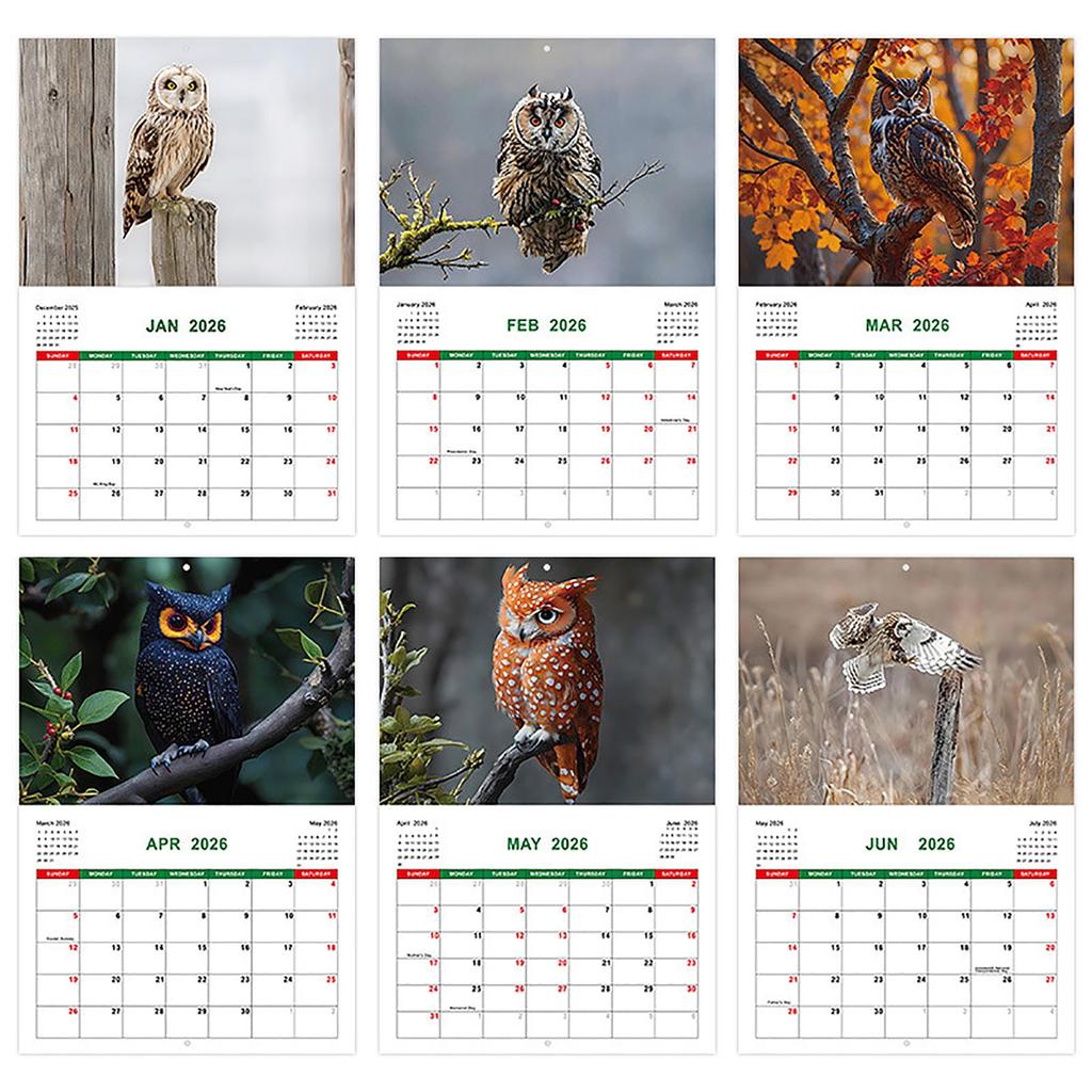 Owl Themed Perpetual Calendar – Reusable Wooden Flip Calendar Desk Ornament