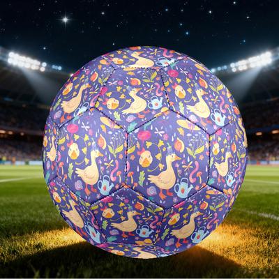 Fotbal – Fotbalové míče