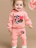 Baby Girl Floral Hoodie & Pants Set - Spring/Autumn Sportswear