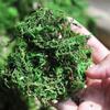 Artificial Moss Green Plant for Potted Plant Orchid Potting Moss DIY Crafts Landscape Fake Plant Living Room Garden Home Decor