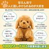 plush toy for Talking Toy Easy to use even for Perfect Phone support Voice-activated adults Poodle. seniors. gift. available.