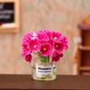 [JN] 1/12 Dollhouse Flower Miniature Flower Vase Model Doll Home Potted Plants Decor Toy Micro Landscape Plant