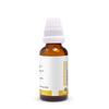 HT BAPTISIA TINCTORIA Q 100ml - BIG_SIZE BOTTLE - Homeopathic Mother Tincture.