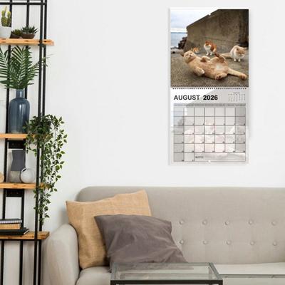 2026 Cat Ball Calendar Jan.2026 - Dec.2026 12 Monthly Wall Calendar with Hilarious Feline Moments Gag Gift for Cat Lovers