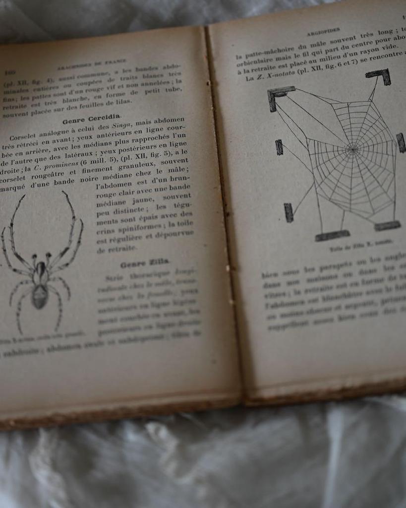 [USED] French Antique Rare Spider Book
