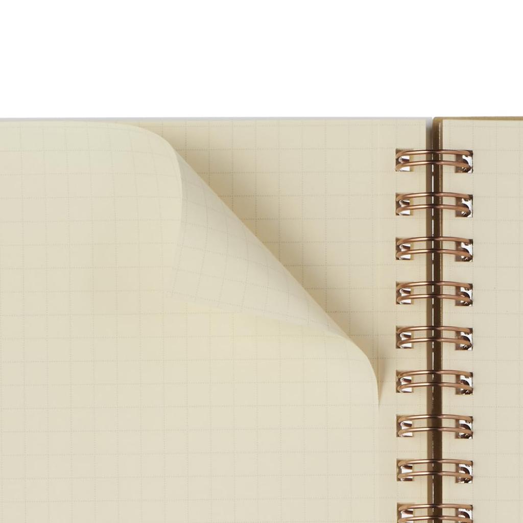 Delfonics 2025 Edition Planner (Starts October 2024) Rollbahn Snake Diary, Horizontal, Large, Monthly Schedule Book (Light Yellow)