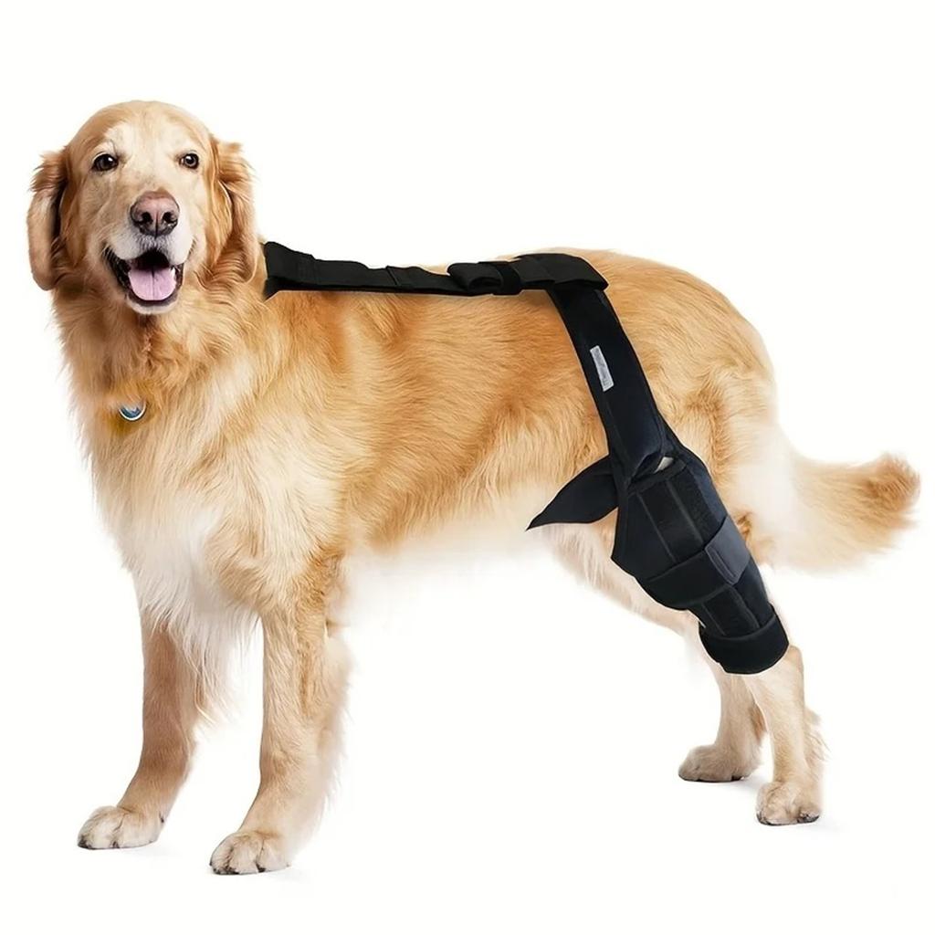 Hund Beinbandage für gerissene Kreuzband Patellasehne Haustier Hund Kniebandage, Hund Gelenk Bein Protektor, Hund Rehabilitations Schutzausrüstung Ellenbogen Hygrom Protektor