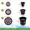 Happy Spring Hydroponic Cultivation Pot, Basket Pot, 6 Colors, 3 Sizes, Set of 10 (Large, Black)