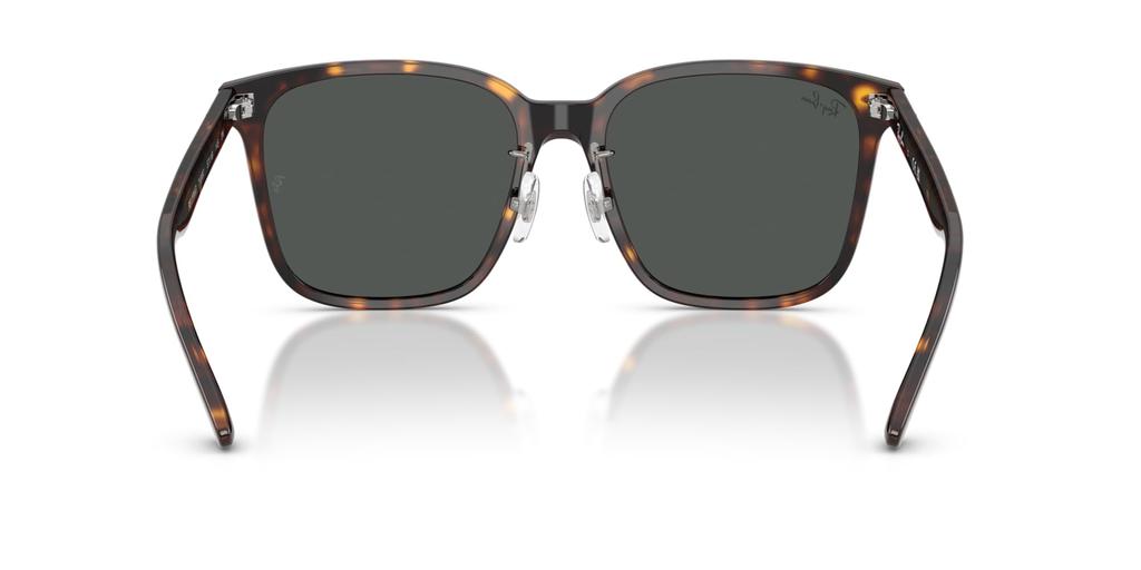 Sunglasses 0RB2206D HAVANA DARK GREY Asian Fit Polarized [Ray-Ban] 710/8757