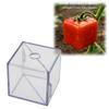 Molds for Cultivating Uniquely Shaped Fruits - Designed to Create Distinctive Shapes for a Variety of Fruits, Including Strawberries, Tomatoes