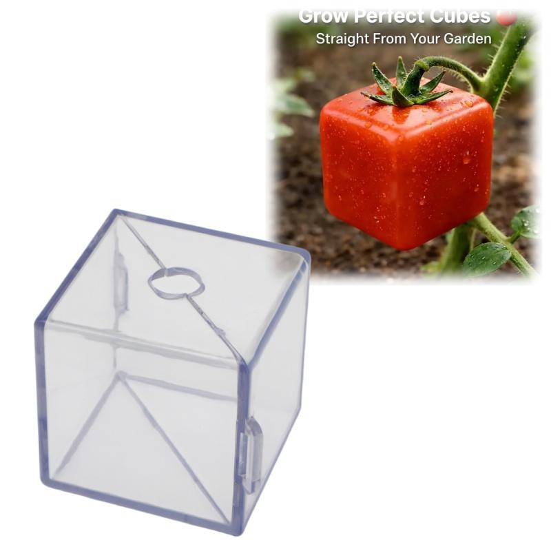Molds for Cultivating Uniquely Shaped Fruits - Designed to Create Distinctive Shapes for a Variety of Fruits, Including Strawberries, Tomatoes