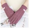 Warm Gloves Three-Line Cycling Rabbit Velvet Men'S And Women'S Fashion Cold-Proof Touch Screen Velvet Outdoor Autumn And Winter Gloves