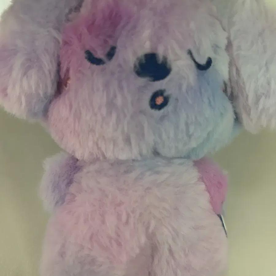 

Riize Full Configuration Unboxed Voice Key Ring Chanyoung A Version