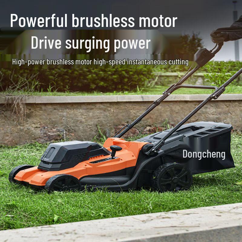 Dongcheng Cordless Push Lawn Mower CN plug (adapter included)